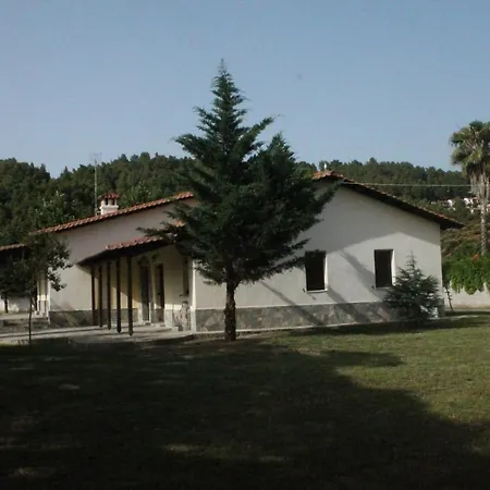 Semi Detached Houses